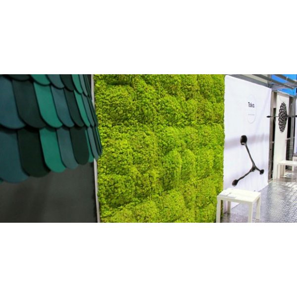 Panel de musgo verde natural 57x28,5cm para murales y paredes de musgo  natural - musgo-natural