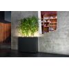Urban light