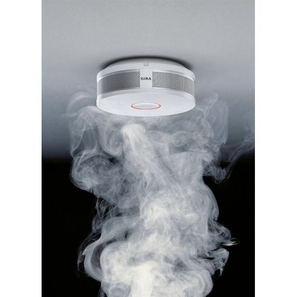 Detector de humo Dual Q