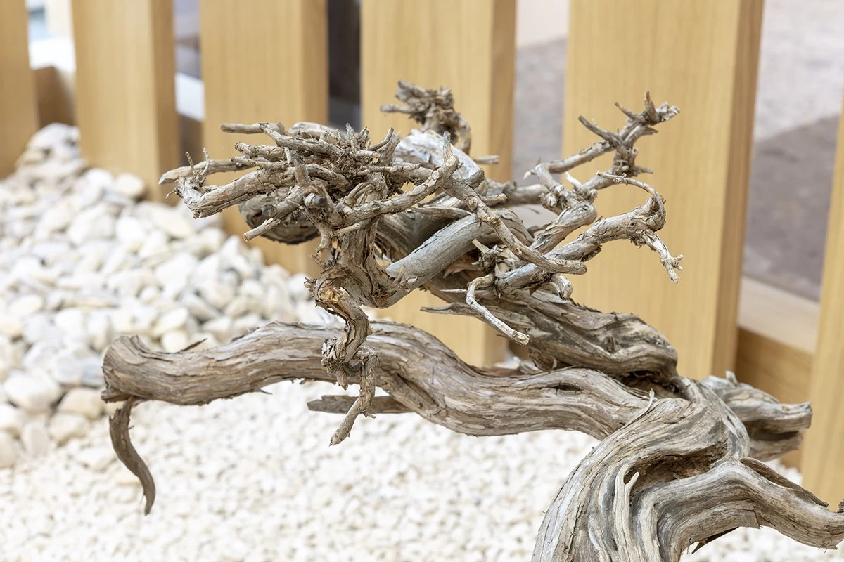 Wood