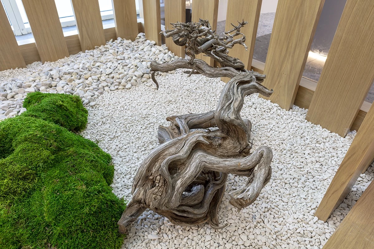 Wood