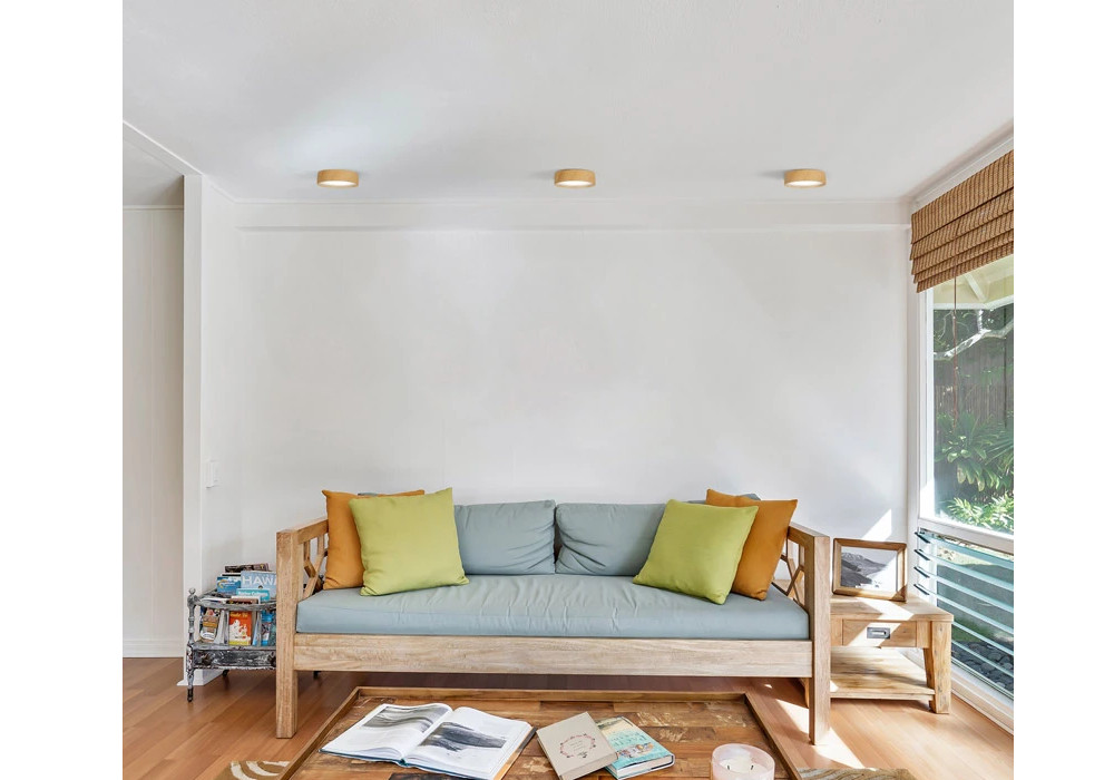 peti-ceiling-01-1