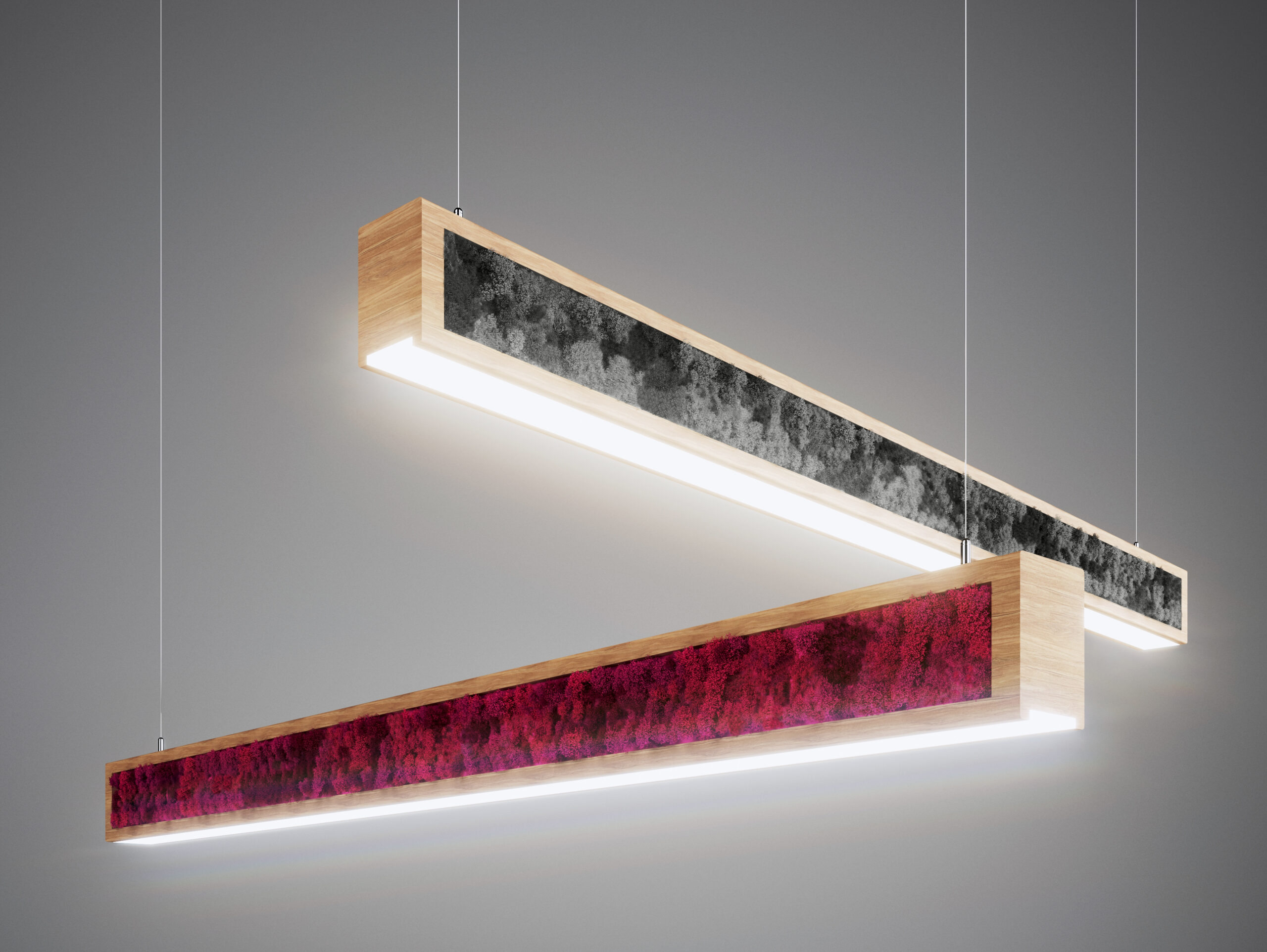 Luminaria CUBE by Saihō