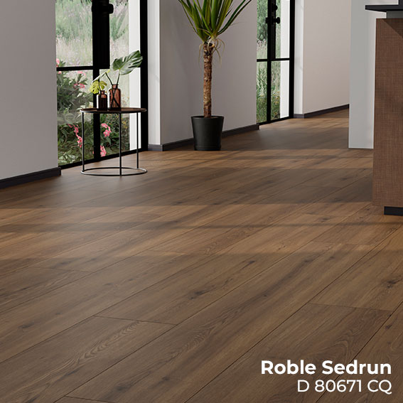 D80671CQ-RobleSedrun-ambiente