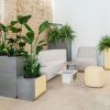 Sistemas de mobiliario biofílico ubicados en espacios reales, en un lobby, en una recepción, como sala de estar de una casa o residencia.