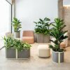 Sistemas de hidrojardineras en espacio de lobby o recepción de un hotel