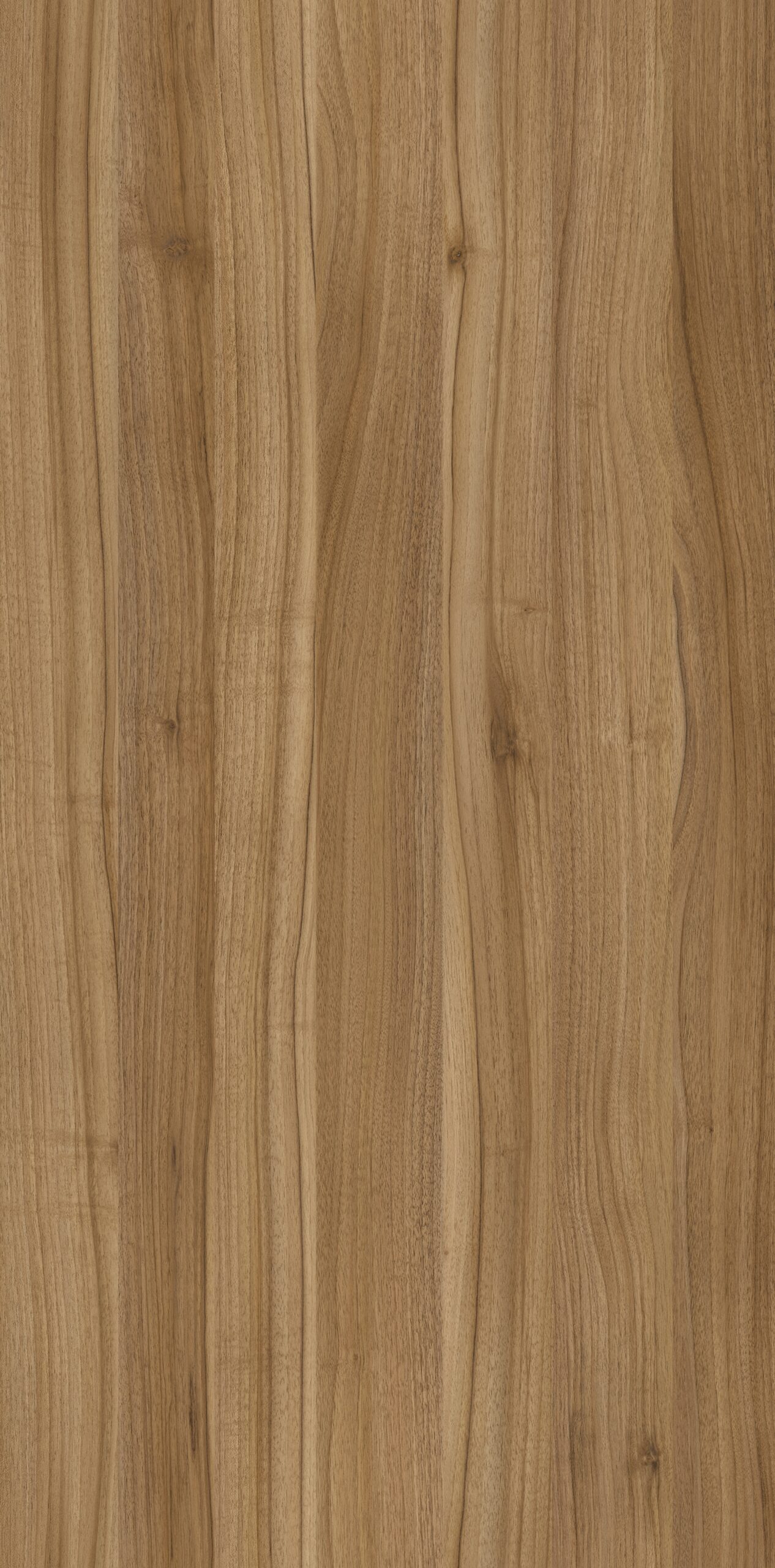 m2511_troia_walnut