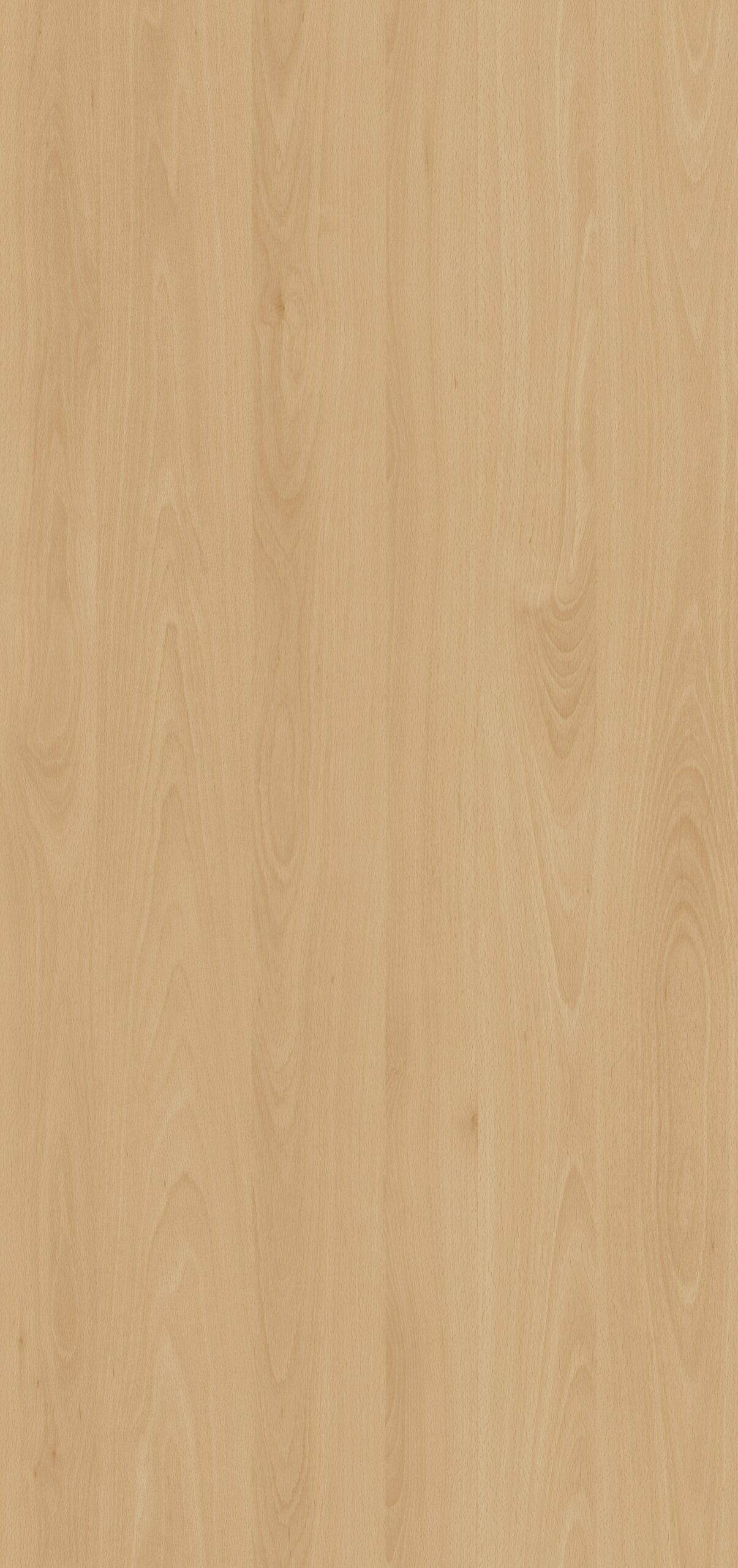 m3247_woodland_beech