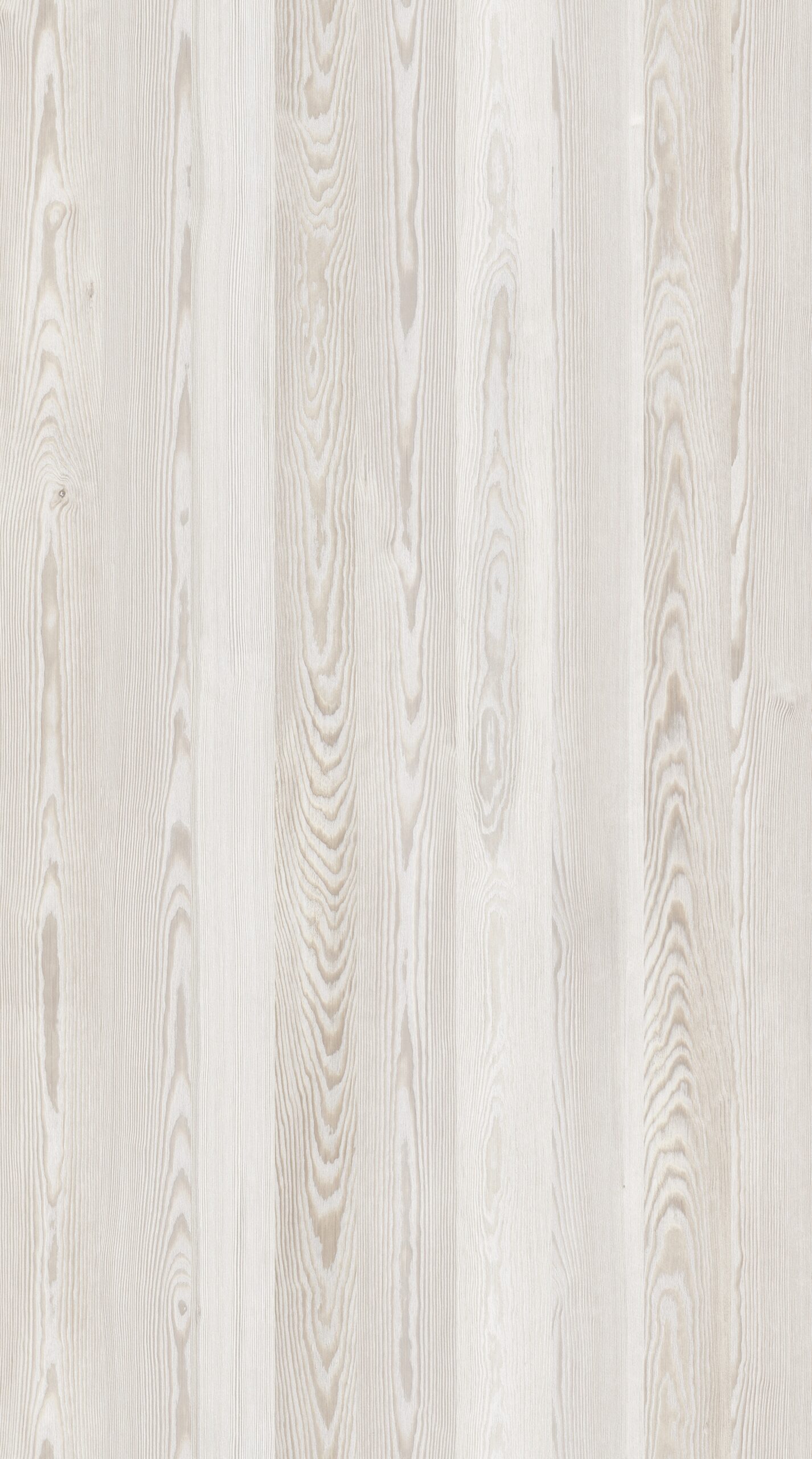 m6220_stockholm_pine
