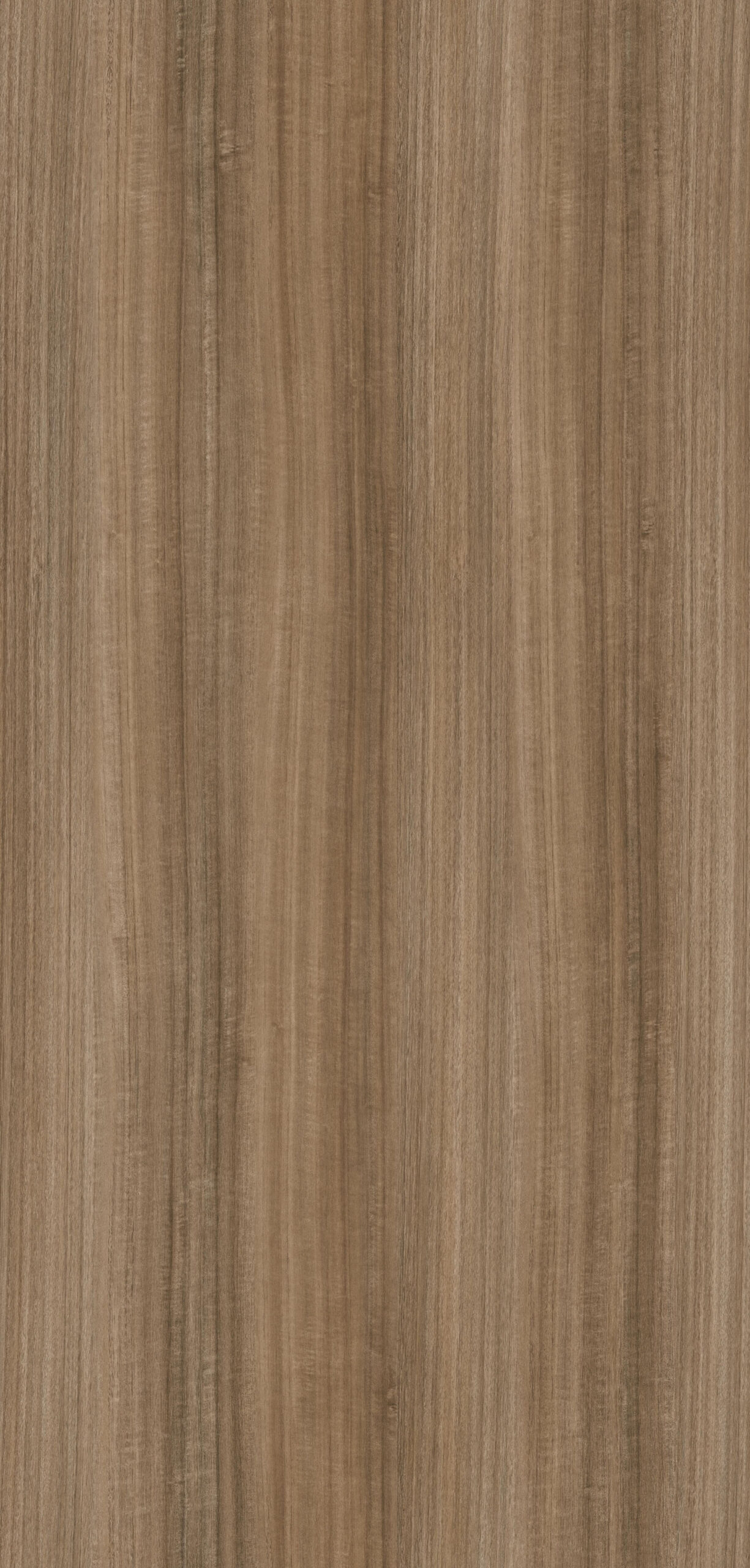 m6299_ethnic_sand