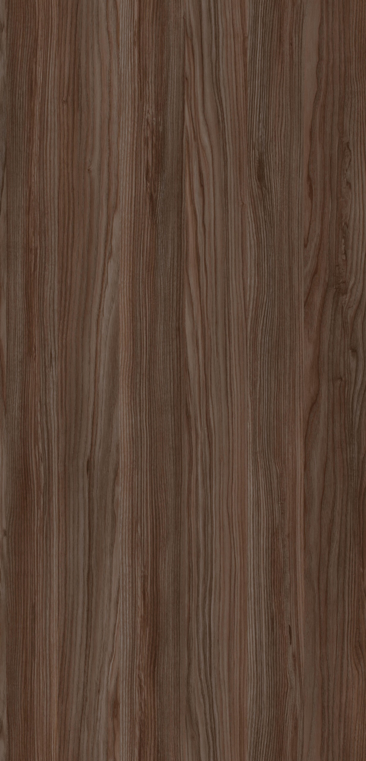 m6315_elegance_brown