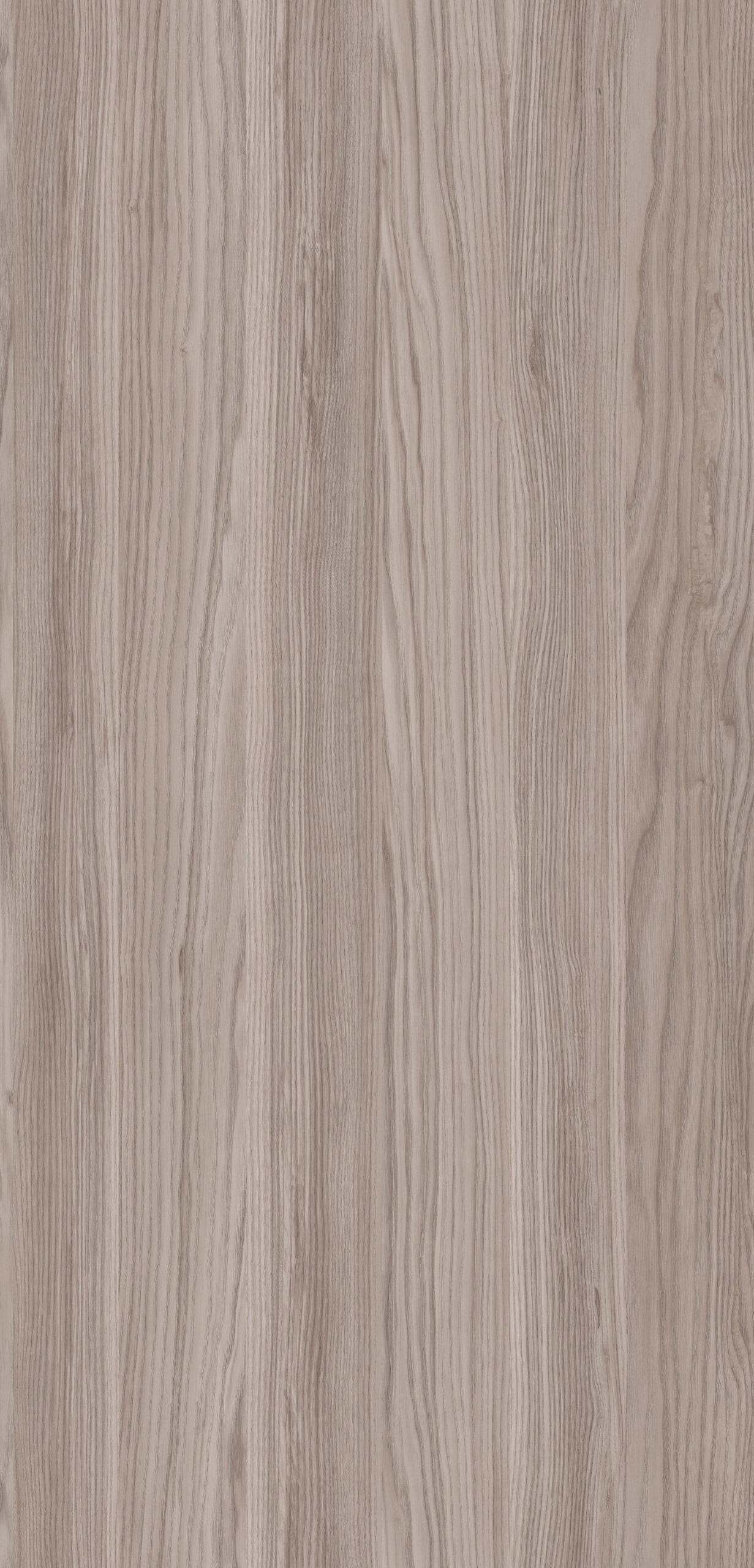 m6316_elegance_grey