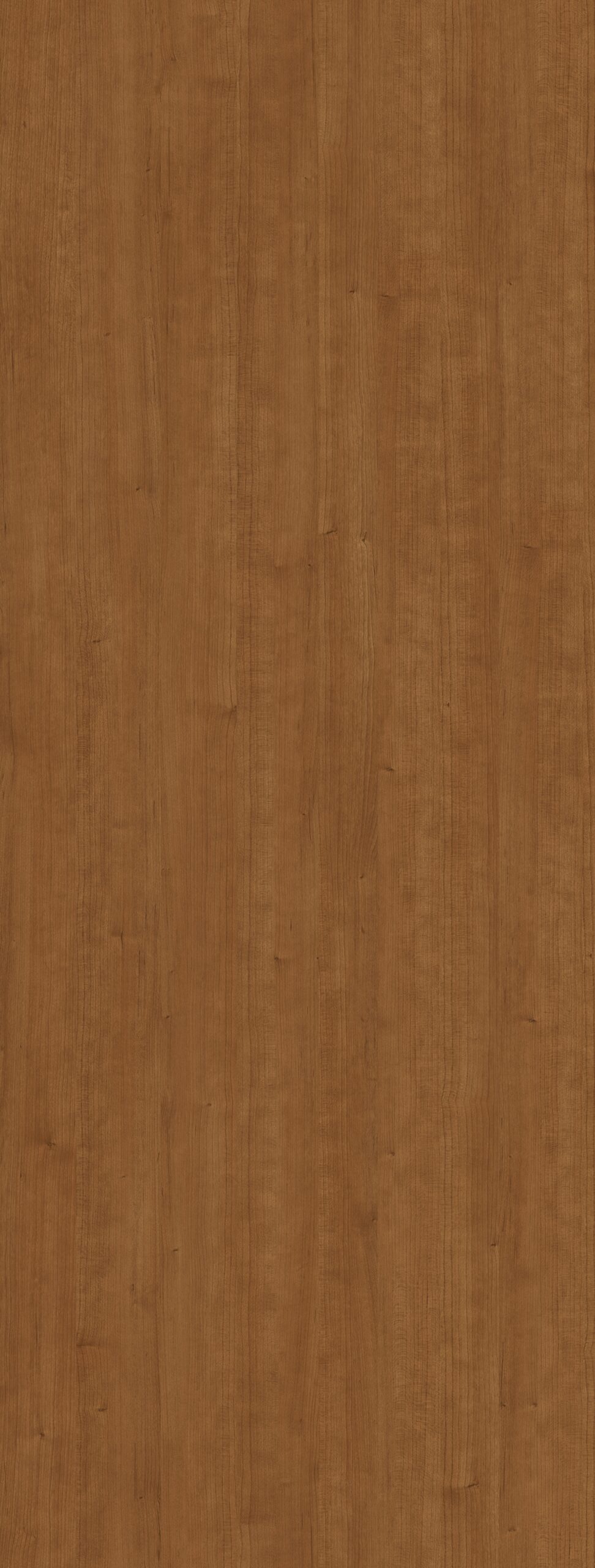 m760_nettgau_cherry
